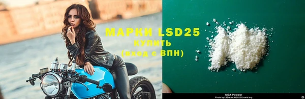 ГАЛЛЮЦИНОГЕННЫЕ ГРИБЫ Абаза