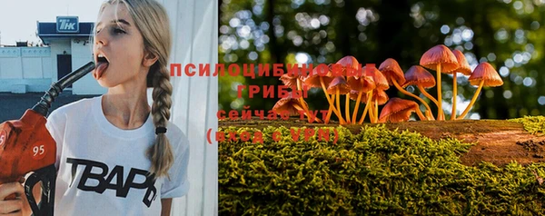 прущие крисы Алексин