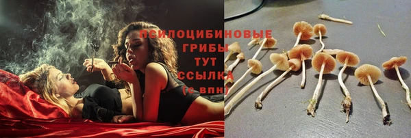 прущие крисы Алексин